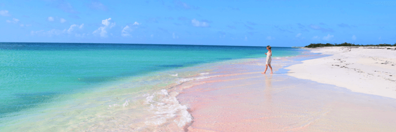 Antigua and Barbuda background